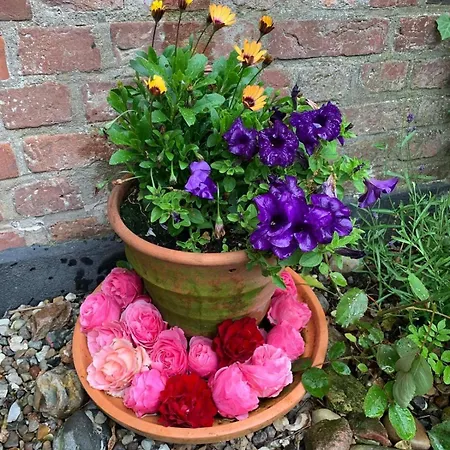 아파트 Maisonette Alte Tischlerei *