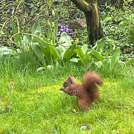 아파트 Maisonette Alte Tischlerei